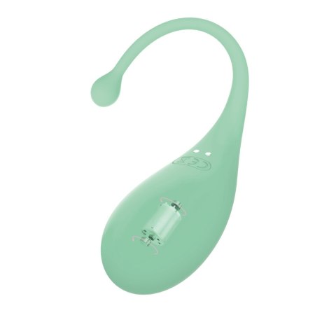 AD.Palpitation Mint (Huevo Vibrador + Cable + App) CNEX A.I.E.,S.L.