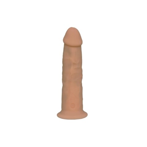 Model 2 7"" Vibration + LRS CNEX A.I.E.,S.L.