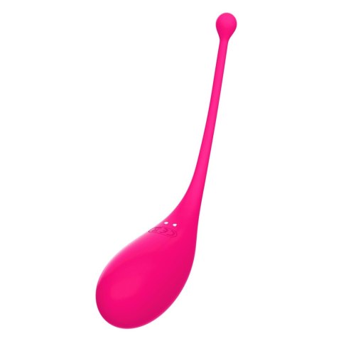 Palpitation Fuchsia (huevo vibrador + app) CNEX A.I.E.,S.L.