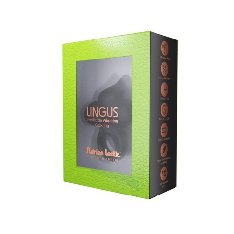 Pierścień-AD.Lingus Black CNEX A.I.E.,S.L.
