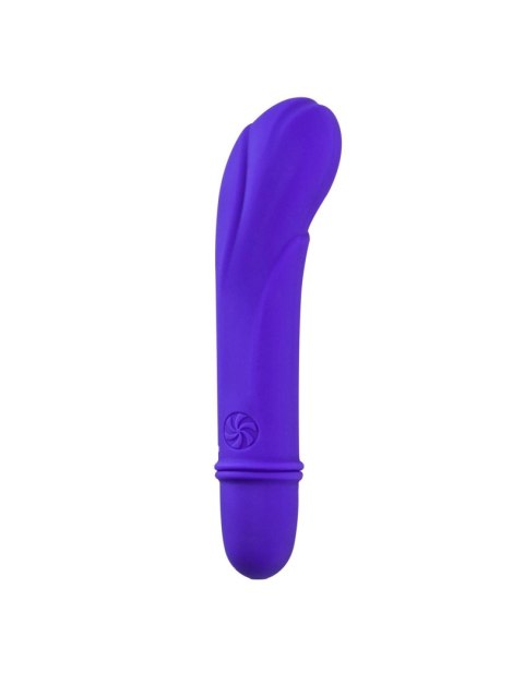 Wibrator-Universe Secret Flower PURPLE Intimate Distribution