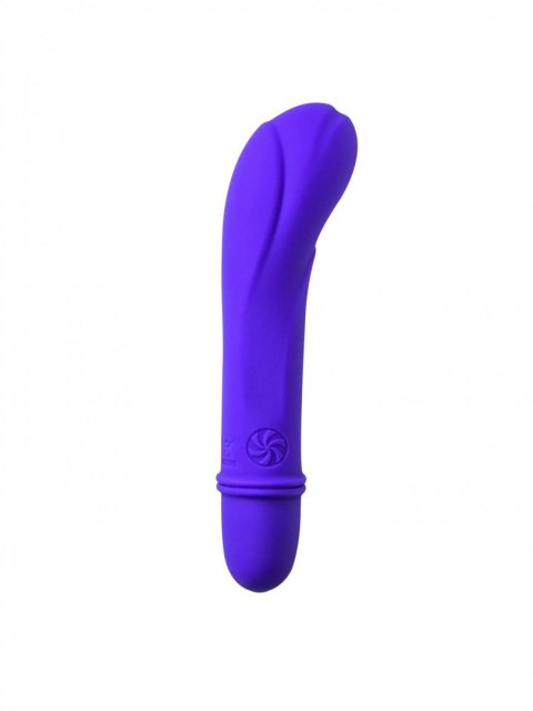 Wibrator-Universe Secret Flower PURPLE Intimate Distribution