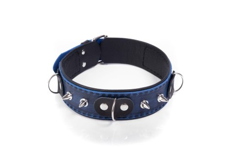 Obroża- Collar Crazy Horse Blue, Small WHIPS - PPH GRAS