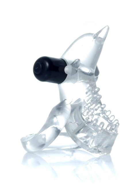 Pierścień-Dolphin Vibro CockRing Clear Boys of Toys Sp. z o.o.