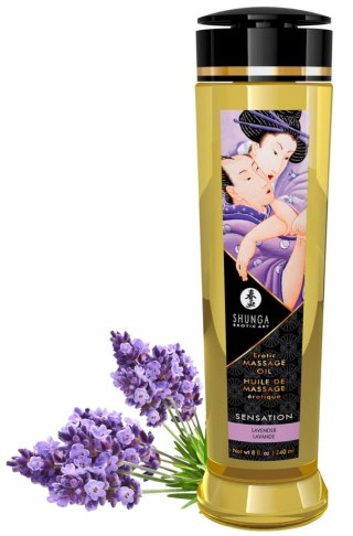 Massage Oil Sensation Lavender Shunga - EAU ZONE