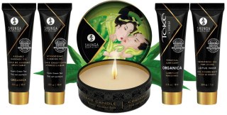 Geisha's Secret Kit Organica Exotic Green Tea Shunga - EAU ZONE
