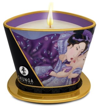 Massage Candle Exotic Fruits Shunga - EAU ZONE