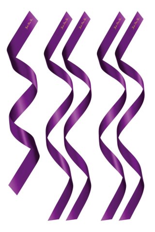 PACK HEADBANDS 1 + 4 PURPLE (Size: TU) Comcorde - SAS EDITIONS CONCORDE
