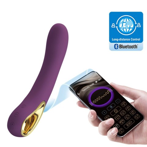 PRETTY LOVE - Ethan purple, 12 vibration functions Mobile APP Long-distance Control Baile - Boys of Toys Sp. z. o.o. (dystrybutor)