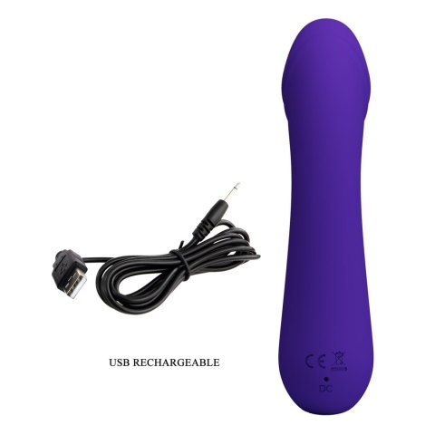 PRETTY LOVE - Cetus dark Purple, Memory function 12 vibration functions Baile - Boys of Toys Sp. z. o.o. (dystrybutor)