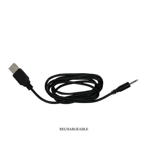 PRETTY LOVE - PROSTATE MASSAGER Tickling 4 & Vibrating 7 USB Baile - Boys of Toys Sp. z. o.o. (dystrybutor)
