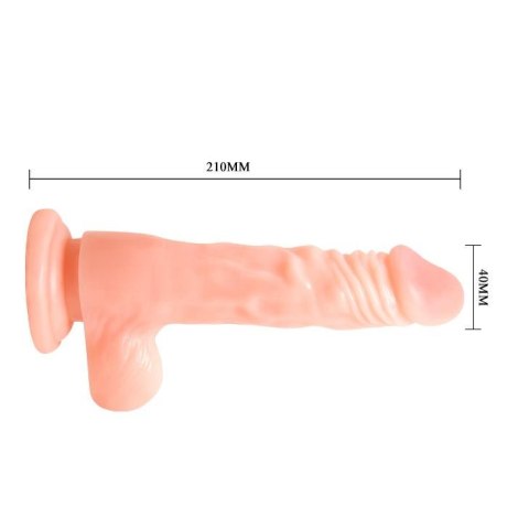 BAILE - COCK 8,5'' Baile - Boys of Toys Sp. z. o.o. (dystrybutor)