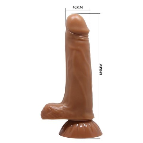 BAILE - Easton , 7 rotation functions Suction base 7 thrusting settings Baile - Boys of Toys Sp. z. o.o. (dystrybutor)