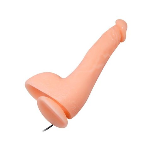 BAILE- JASSON 9.8''Multi Speed of Vibration Baile - Boys of Toys Sp. z. o.o. (dystrybutor)