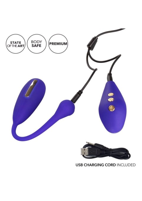 Estim Remote Kegel Exerciser Blue SCALA