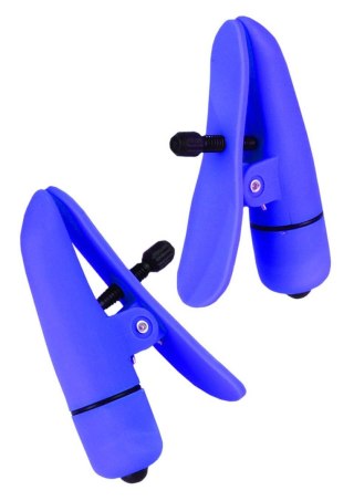 Nipplettes Purple SCALA