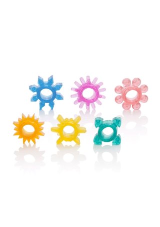 Senso 6 Pack Multicolor SCALA