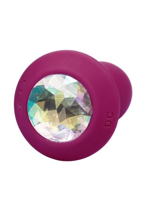 Vibrating Petite Crystal Probe Purple SCALA