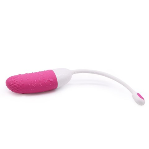 Magic Motion - Vini App Controlled Love Egg Pink Eropartner - INTERSLASH B.V.