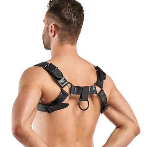 Bedroom Fantasies - Bruno Bondage Harness Black Bedroom Fantasies