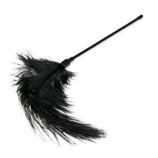 Pejcz-Black Feather Tickler Easytoys