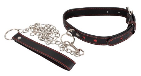 Collar and Leash ORION