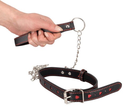 Collar and Leash ORION