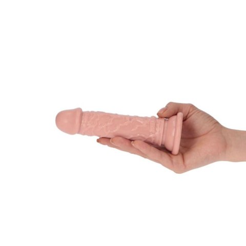 Dildo- Rino Flesh MSX Distribution S.r.l.