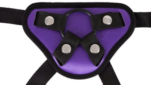 Universal Harness + 3 Rings ORION