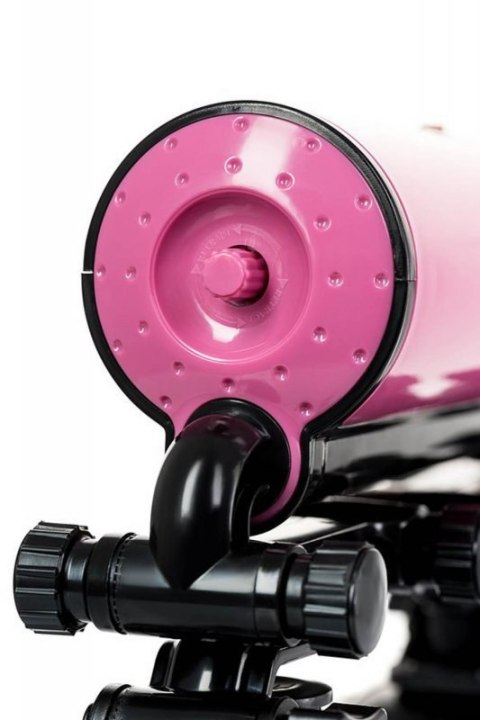 Pink Punk Sex machine Boss of toys